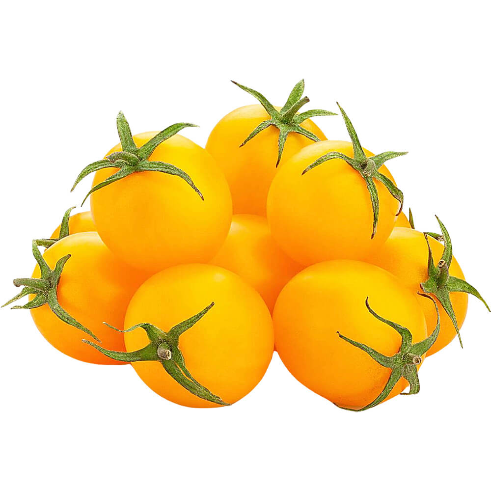 طماطم كرزية صفراء (المغرب)
